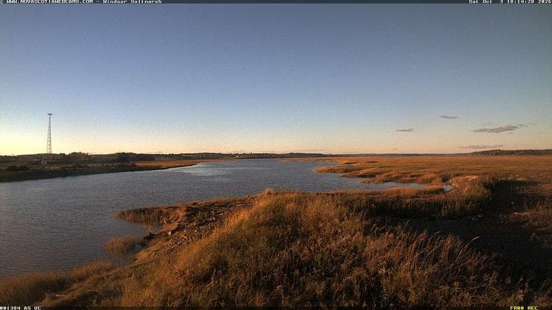 Windsor Salt Marsh
