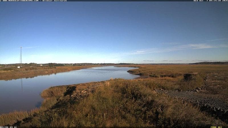 Windsor Salt Marsh