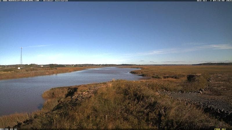 Windsor Salt Marsh