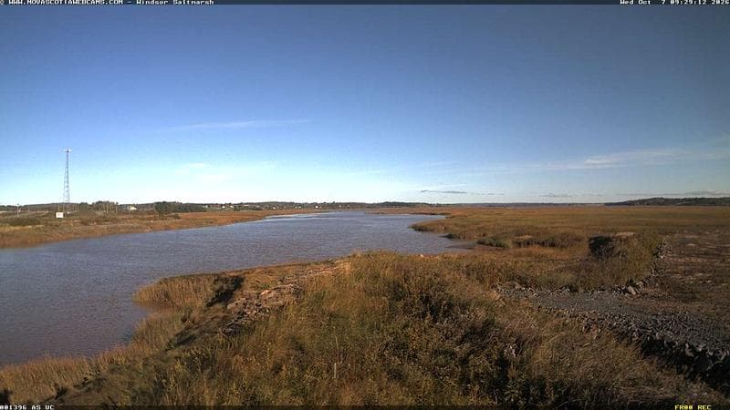 Windsor Salt Marsh