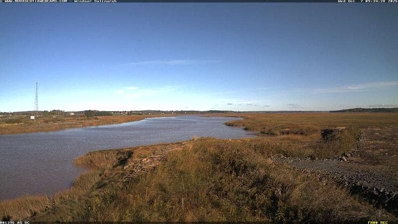 Windsor Salt Marsh