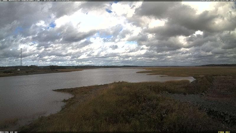 Windsor Salt Marsh