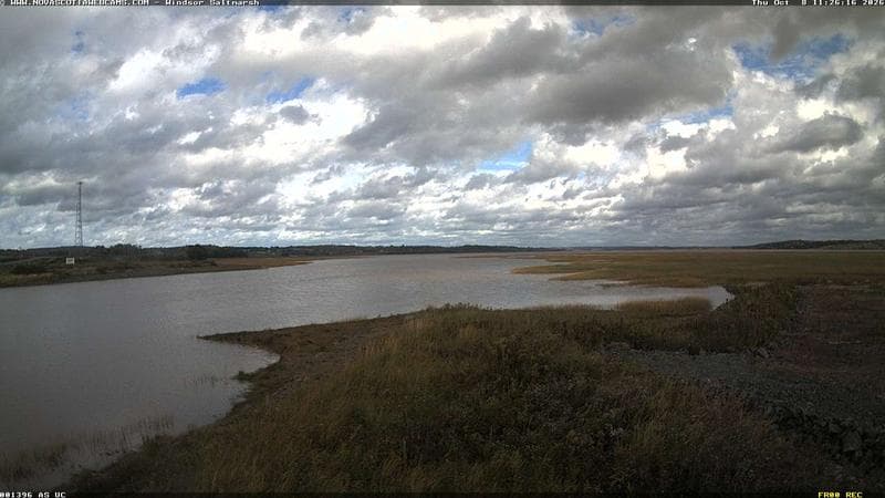 Windsor Salt Marsh
