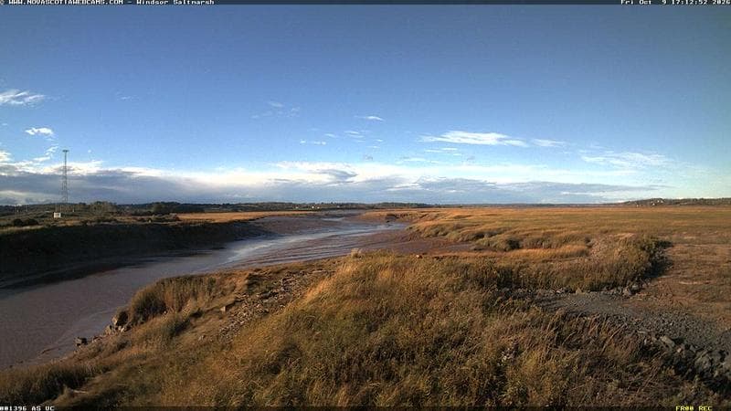 Windsor Salt Marsh