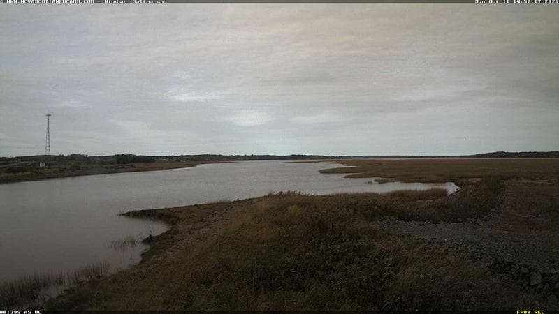 Windsor Salt Marsh