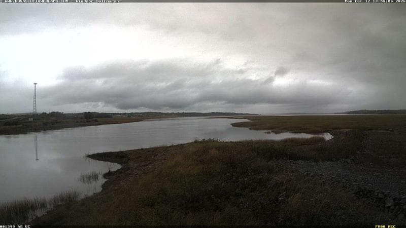 Windsor Salt Marsh
