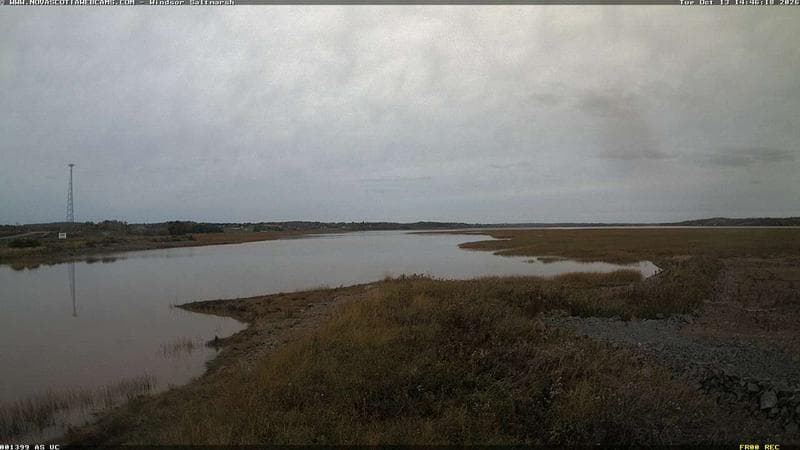 Windsor Salt Marsh