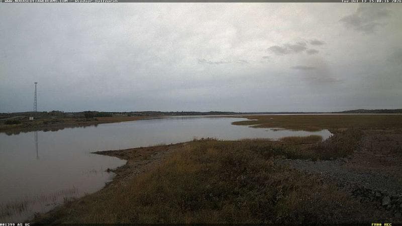 Windsor Salt Marsh