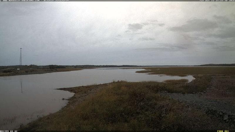 Windsor Salt Marsh