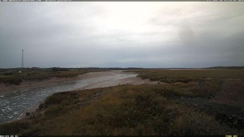 Windsor Salt Marsh