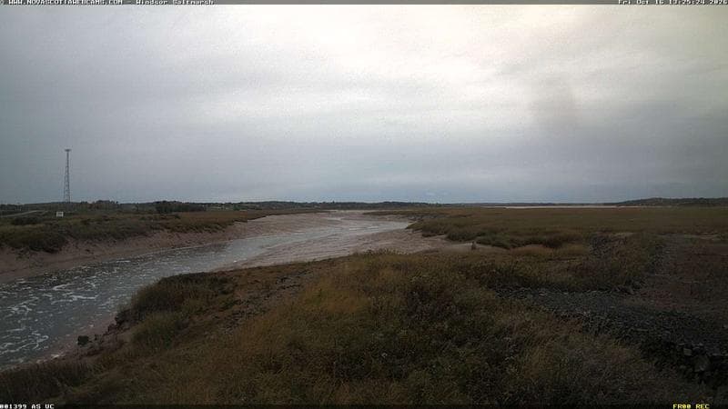 Windsor Salt Marsh