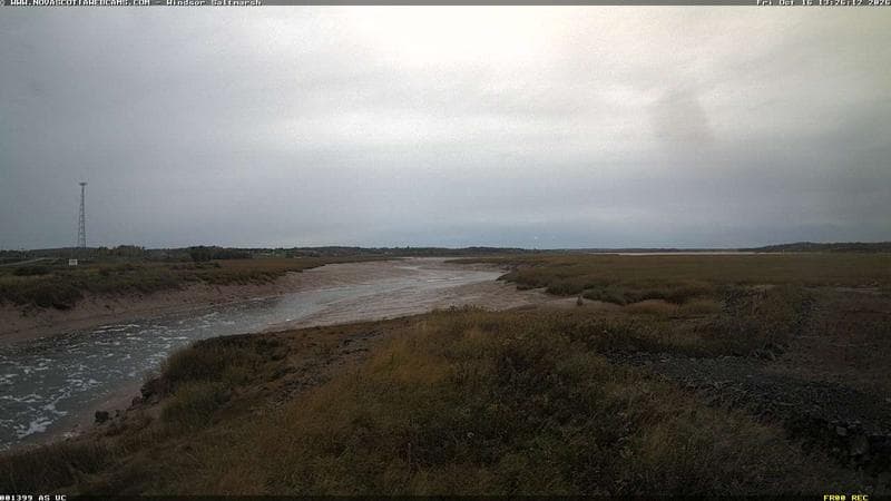 Windsor Salt Marsh