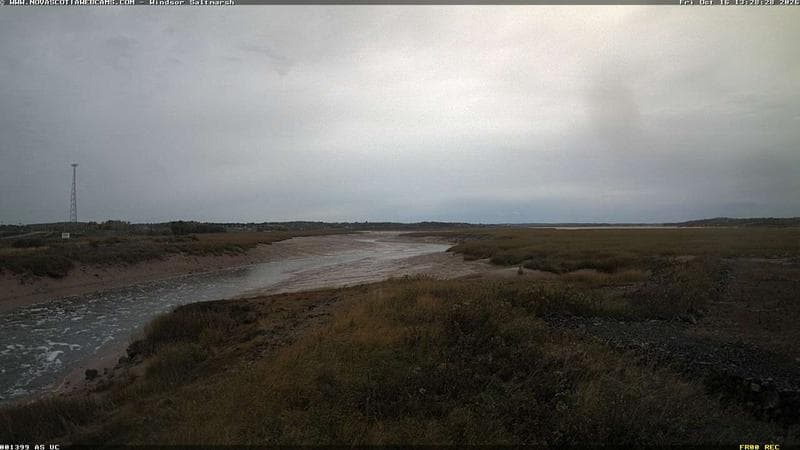 Windsor Salt Marsh