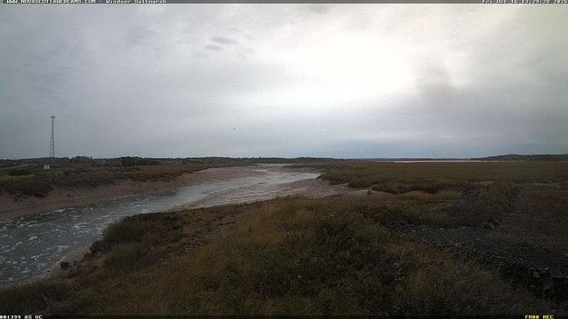 Windsor Salt Marsh