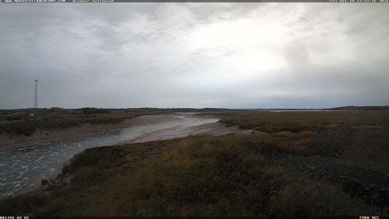Windsor Salt Marsh