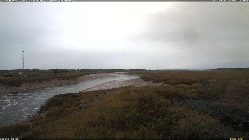 Windsor Salt Marsh