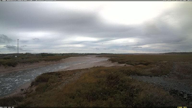 Windsor Salt Marsh