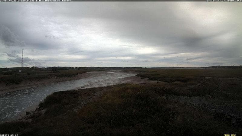 Windsor Salt Marsh