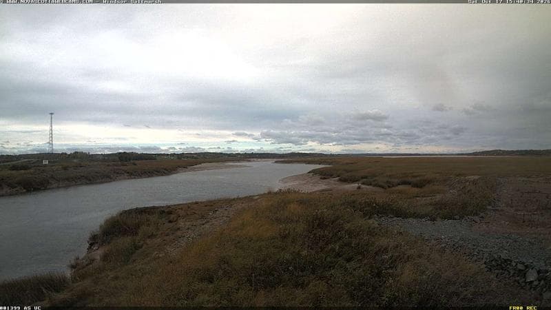 Windsor Salt Marsh