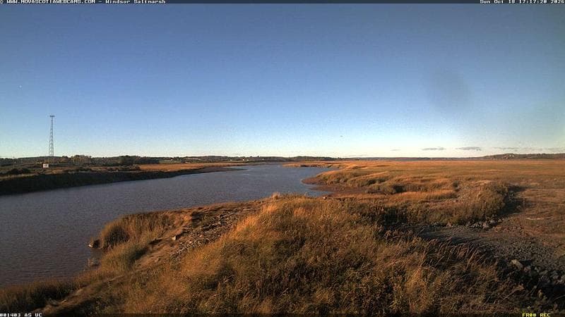 Windsor Salt Marsh