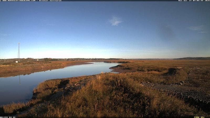 Windsor Salt Marsh