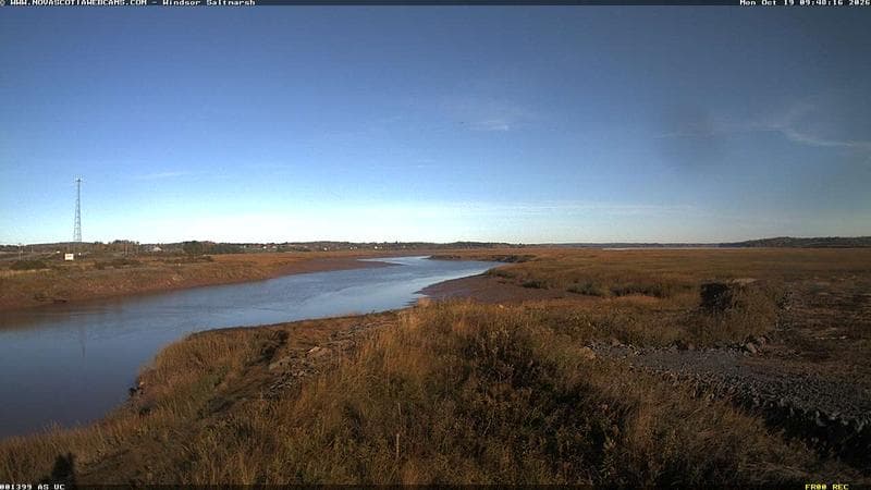 Windsor Salt Marsh