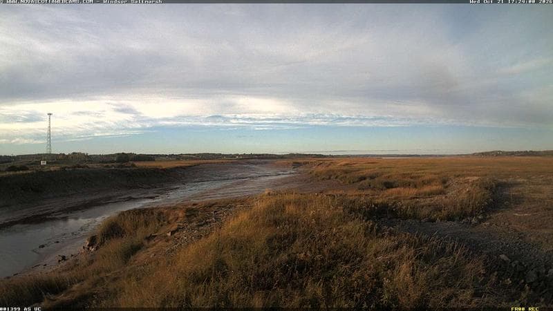 Windsor Salt Marsh