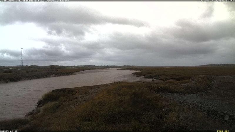 Windsor Salt Marsh
