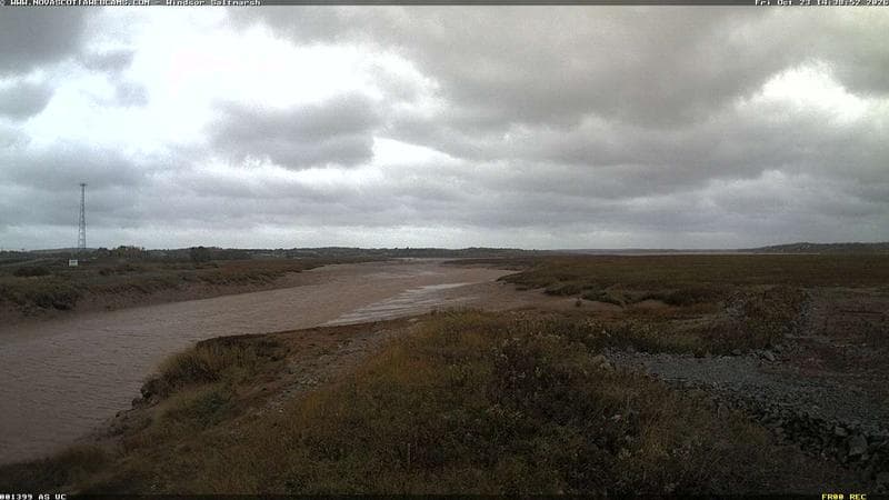 Windsor Salt Marsh