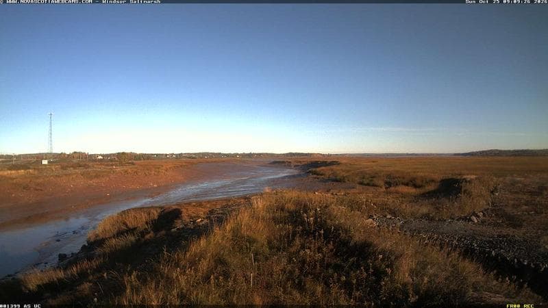 Windsor Salt Marsh