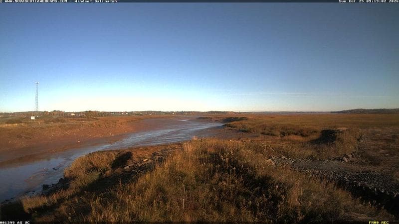 Windsor Salt Marsh
