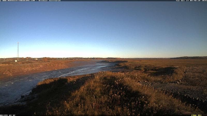 Windsor Salt Marsh