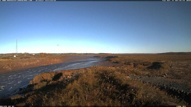 Windsor Salt Marsh