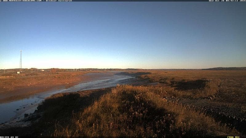 Windsor Salt Marsh