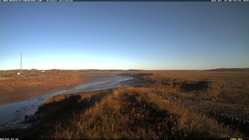 Windsor Salt Marsh