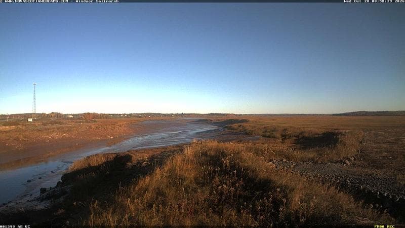 Windsor Salt Marsh