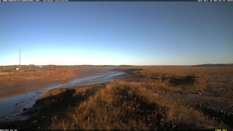 Windsor Salt Marsh