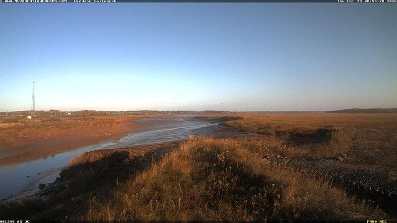 Windsor Salt Marsh