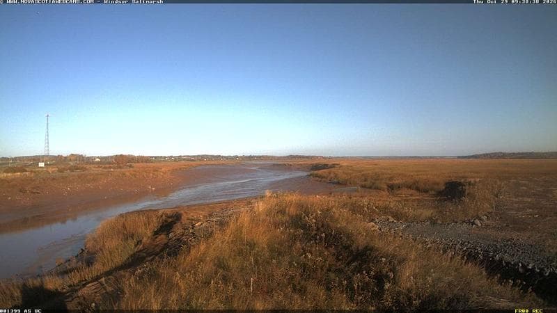 Windsor Salt Marsh