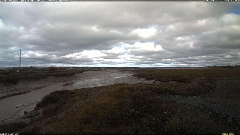 Windsor Salt Marsh