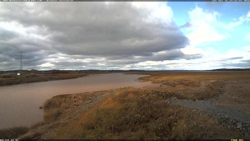 Windsor Salt Marsh