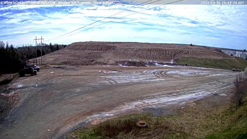 Windsor Salt