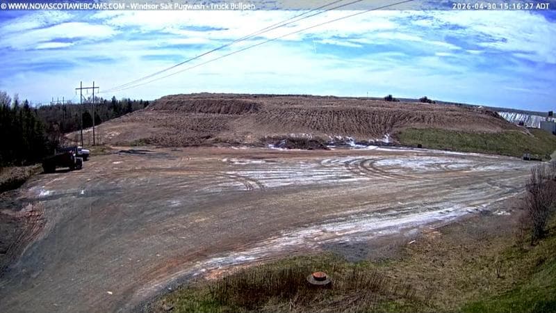 Windsor Salt