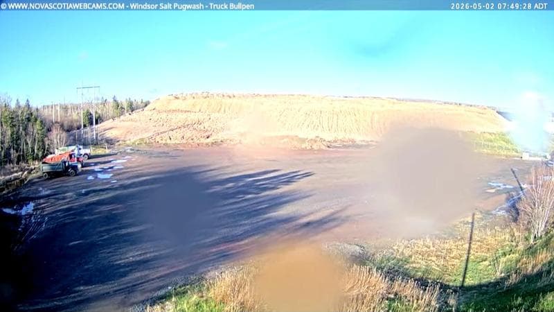 Windsor Salt