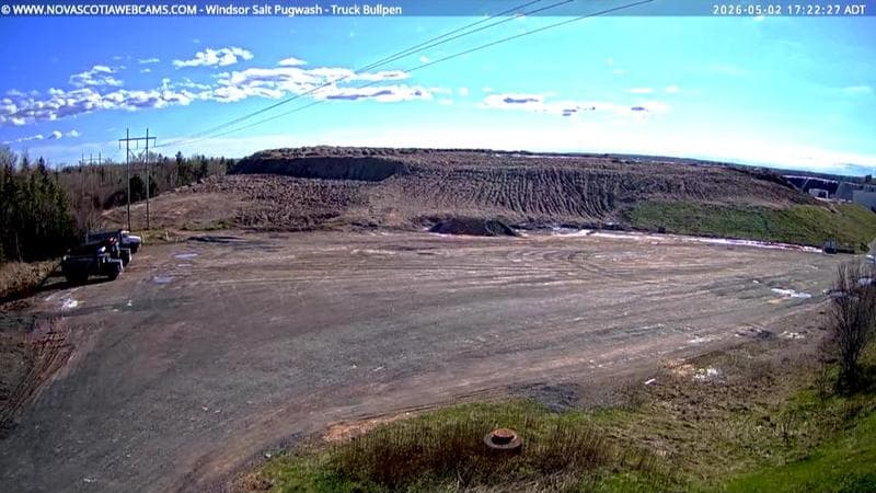 Windsor Salt
