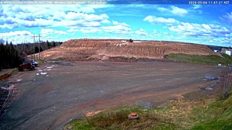 Windsor Salt