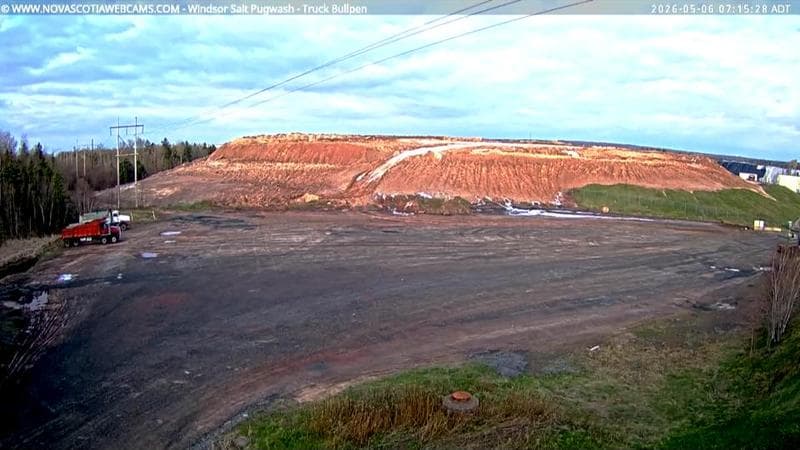 Windsor Salt