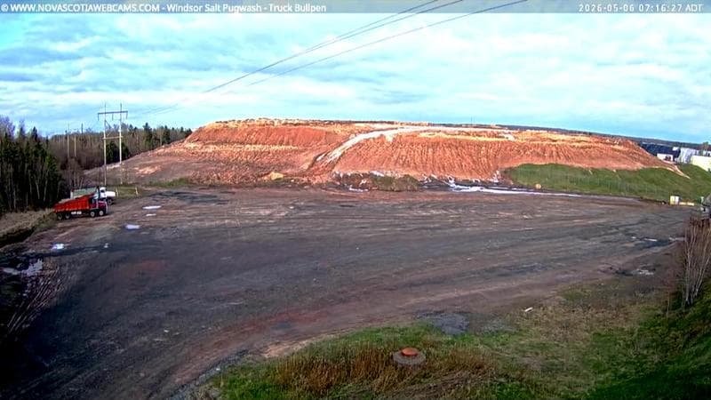 Windsor Salt