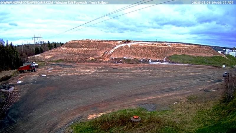 Windsor Salt