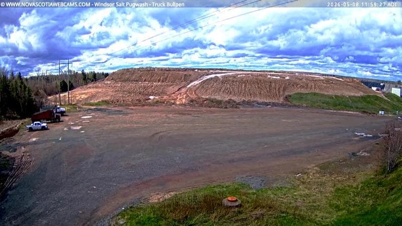 Windsor Salt